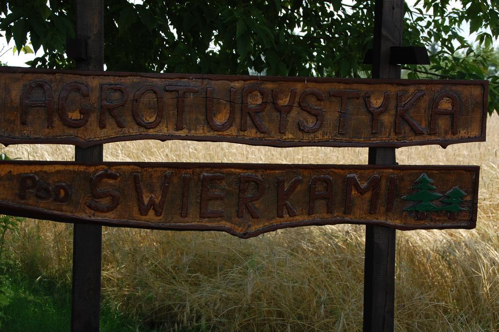 Agroturystyka Pod Swierkami Nadrybie Exteriör bild