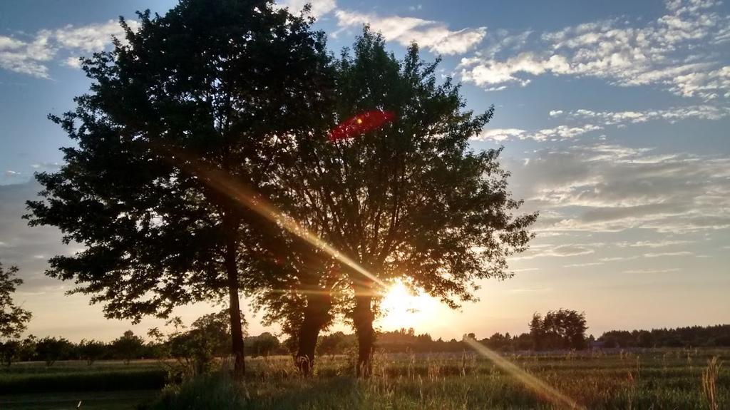Agroturystyka Pod Swierkami Nadrybie Exteriör bild